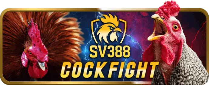 Chương trình VIP và ưu đãi độc quyền