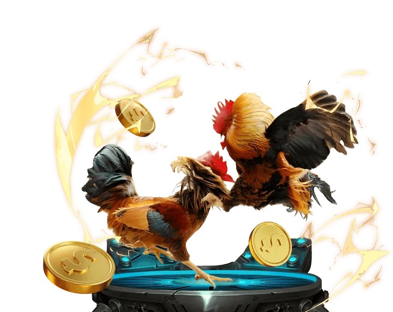 Rút tiền an toàn đá gà