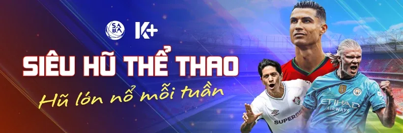 Biểu đồ minh họa các loại dữ liệu được tỷ lệ bóng đá 88 thu thập